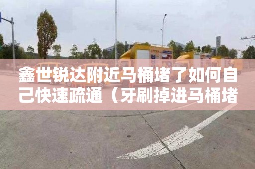 鑫世锐达附近马桶堵了如何自己快速疏通（牙刷掉进马桶堵了妙招）