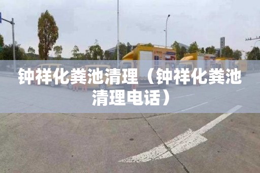 钟祥化粪池清理（钟祥化粪池清理电话）