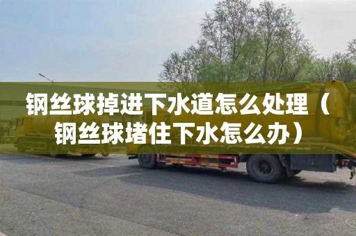 钢丝球掉进下水道怎么处理（钢丝球堵住下水怎么办）