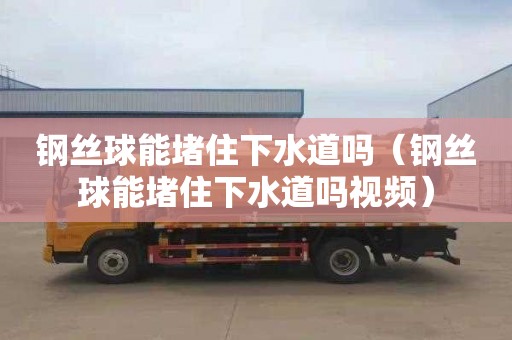 钢丝球能堵住下水道吗（钢丝球能堵住下水道吗视频）