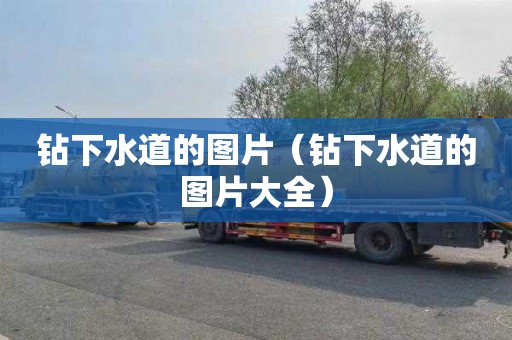 钻下水道的图片（钻下水道的图片大全）