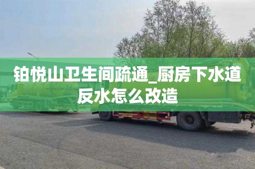 铂悦山卫生间疏通_厨房下水道反水怎么改造