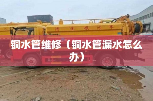 铜水管维修（铜水管漏水怎么办）