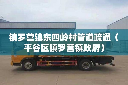 镇罗营镇东四岭村管道疏通（平谷区镇罗营镇政府）
