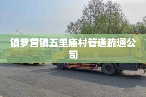 镇罗营镇五里庙村管道疏通公司