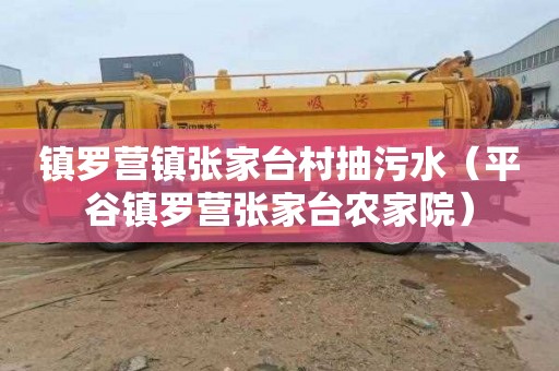 镇罗营镇张家台村抽污水（平谷镇罗营张家台农家院）