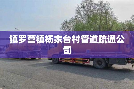 镇罗营镇杨家台村管道疏通公司