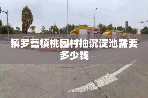 镇罗营镇桃园村抽沉淀池需要多少钱