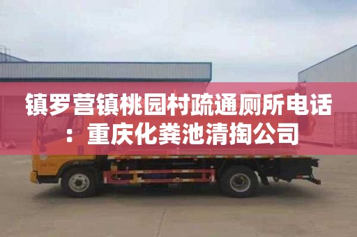 镇罗营镇桃园村疏通厕所电话：重庆化粪池清掏公司