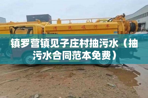 镇罗营镇见子庄村抽污水（抽污水合同范本免费）