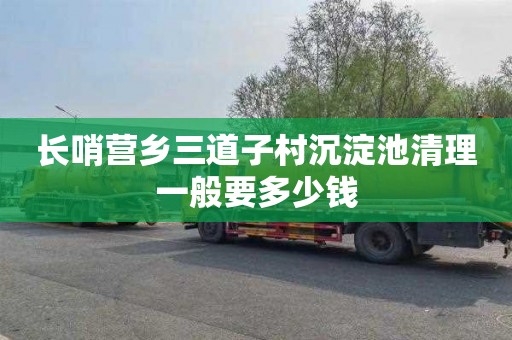 长哨营乡三道子村沉淀池清理一般要多少钱
