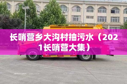 长哨营乡大沟村抽污水（2021长哨营大集）