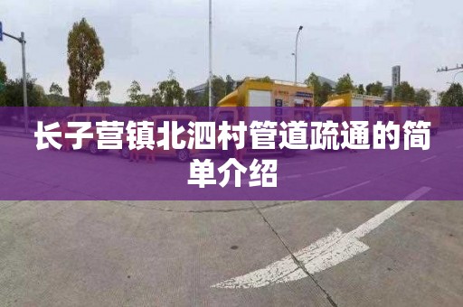 长子营镇北泗村管道疏通的简单介绍