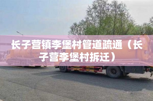 长子营镇李堡村管道疏通（长子营李堡村拆迁）