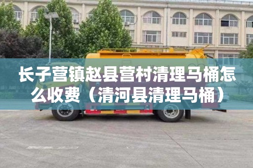 长子营镇赵县营村清理马桶怎么收费（清河县清理马桶）