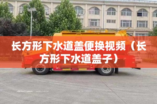 长方形下水道盖便换视频（长方形下水道盖子）