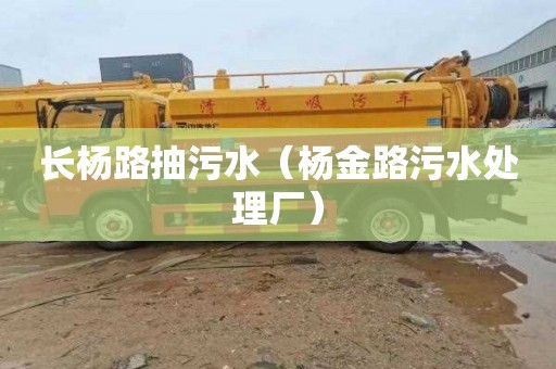 长杨路抽污水（杨金路污水处理厂）