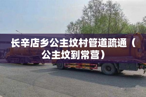 长辛店乡公主坟村管道疏通（公主坟到常营）