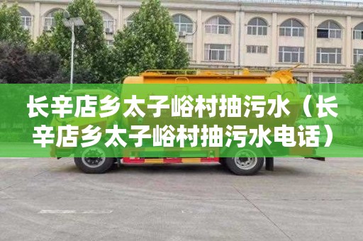 长辛店乡太子峪村抽污水（长辛店乡太子峪村抽污水电话）