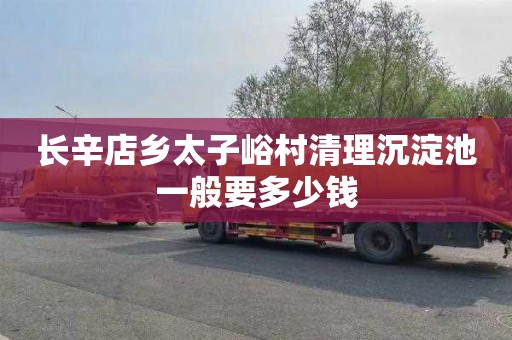 长辛店乡太子峪村清理沉淀池一般要多少钱