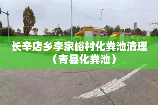 长辛店乡李家峪村化粪池清理（青县化粪池）