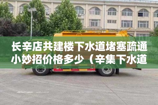 长辛店共建楼下水道堵塞疏通小妙招价格多少（辛集下水道疏通）