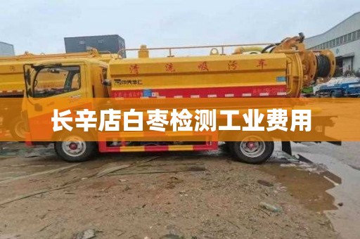 长辛店白枣检测工业费用