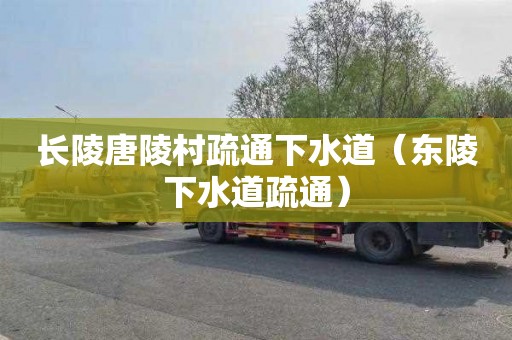 长陵唐陵村疏通下水道（东陵下水道疏通）