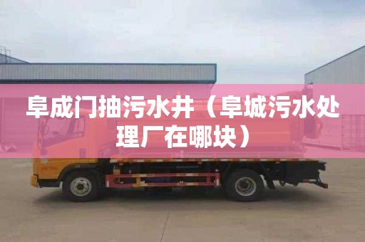 阜成门抽污水井（阜城污水处理厂在哪块）