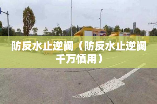 防反水止逆阀（防反水止逆阀千万慎用）