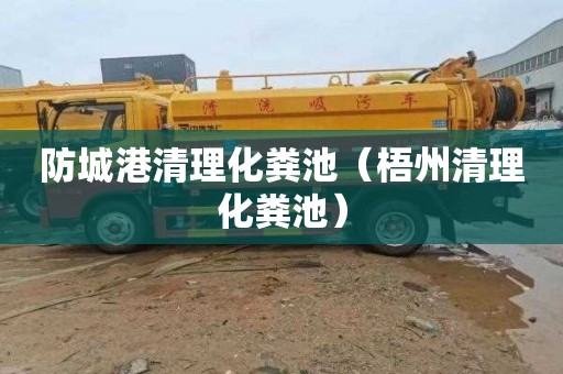 防城港清理化粪池（梧州清理化粪池）