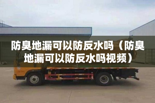 防臭地漏可以防反水吗（防臭地漏可以防反水吗视频）