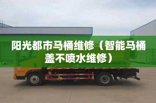 阳光都市马桶维修（智能马桶盖不喷水维修）