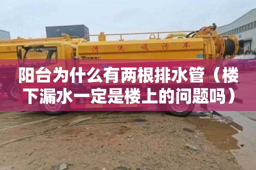 阳台为什么有两根排水管（楼下漏水一定是楼上的问题吗）