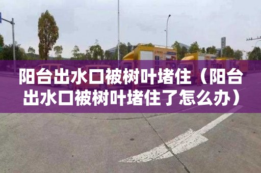阳台出水口被树叶堵住（阳台出水口被树叶堵住了怎么办）