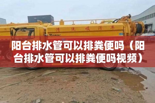 阳台排水管可以排粪便吗（阳台排水管可以排粪便吗视频）