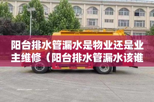 阳台排水管漏水是物业还是业主维修（阳台排水管漏水该谁负责）