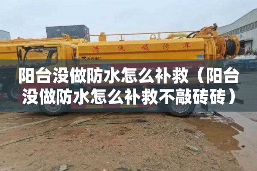 阳台没做防水怎么补救（阳台没做防水怎么补救不敲砖砖）