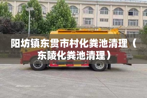 阳坊镇东贯市村化粪池清理（东陵化粪池清理）