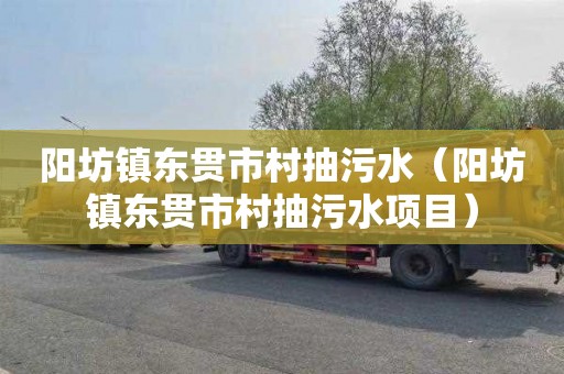 阳坊镇东贯市村抽污水（阳坊镇东贯市村抽污水项目）