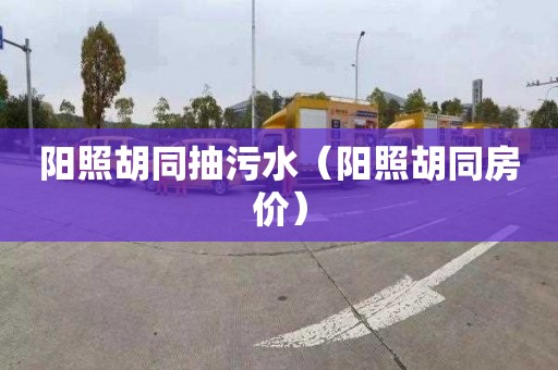 阳照胡同抽污水（阳照胡同房价）