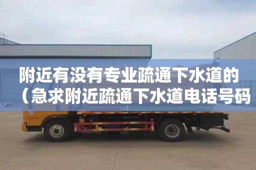 附近有没有专业疏通下水道的（急求附近疏通下水道电话号码）