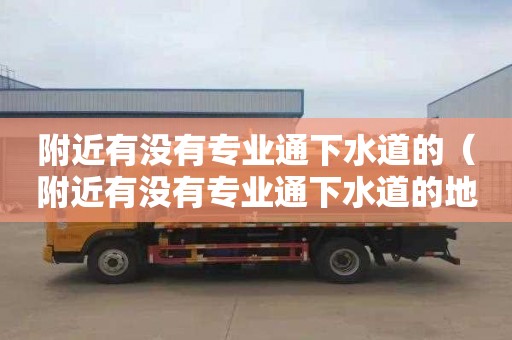 附近有没有专业通下水道的（附近有没有专业通下水道的地方）