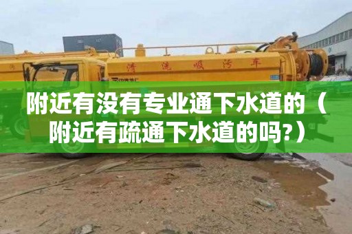 附近有没有专业通下水道的（附近有疏通下水道的吗?）