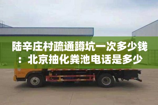 陆辛庄村疏通蹲坑一次多少钱：北京抽化粪池电话是多少