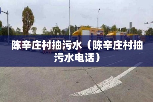 陈辛庄村抽污水（陈辛庄村抽污水电话）