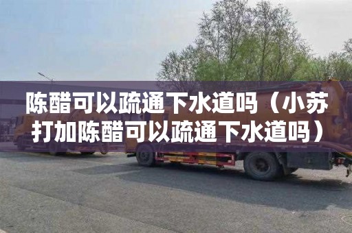 陈醋可以疏通下水道吗（小苏打加陈醋可以疏通下水道吗）