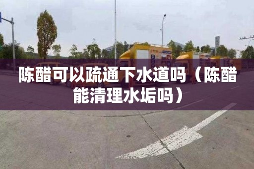 陈醋可以疏通下水道吗（陈醋能清理水垢吗）