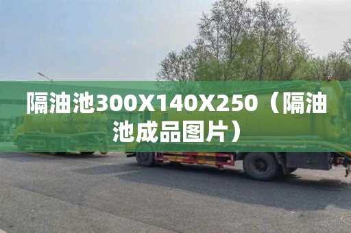 隔油池300X140X250（隔油池成品图片）