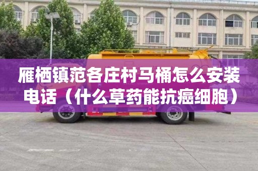 雁栖镇范各庄村马桶怎么安装电话（什么草药能抗癌细胞）